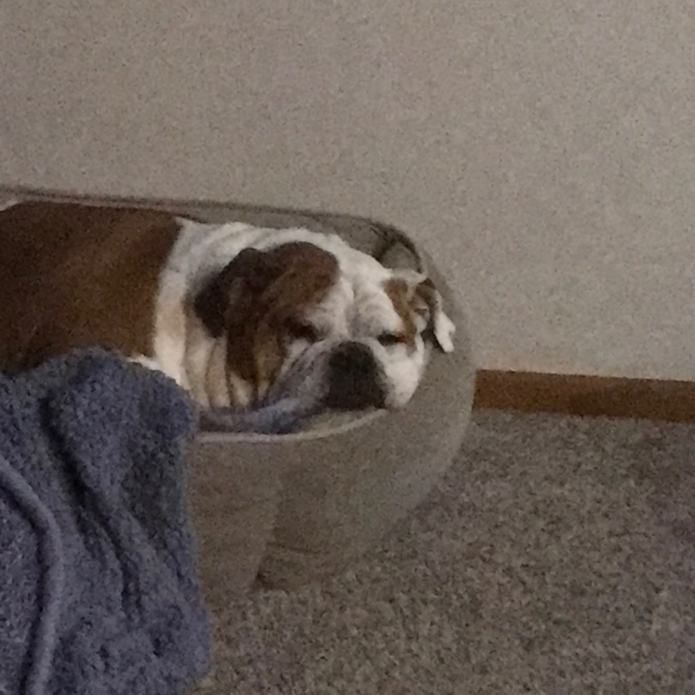 Meet your Posher, Kelly